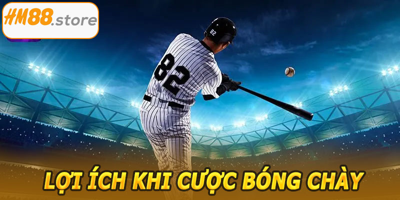 Lợi ích khi cược bóng chày HM88